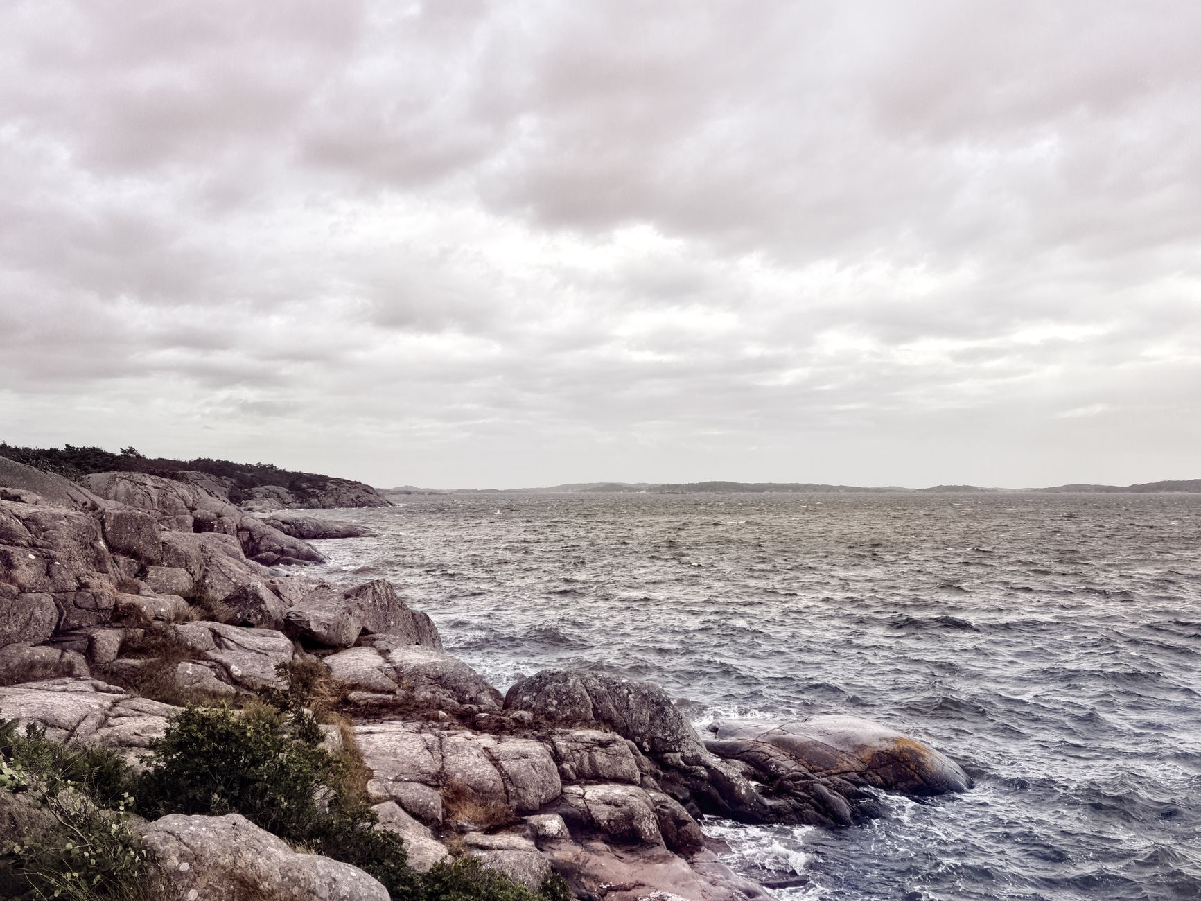 Wild coastal shoreline in northern fjord setting